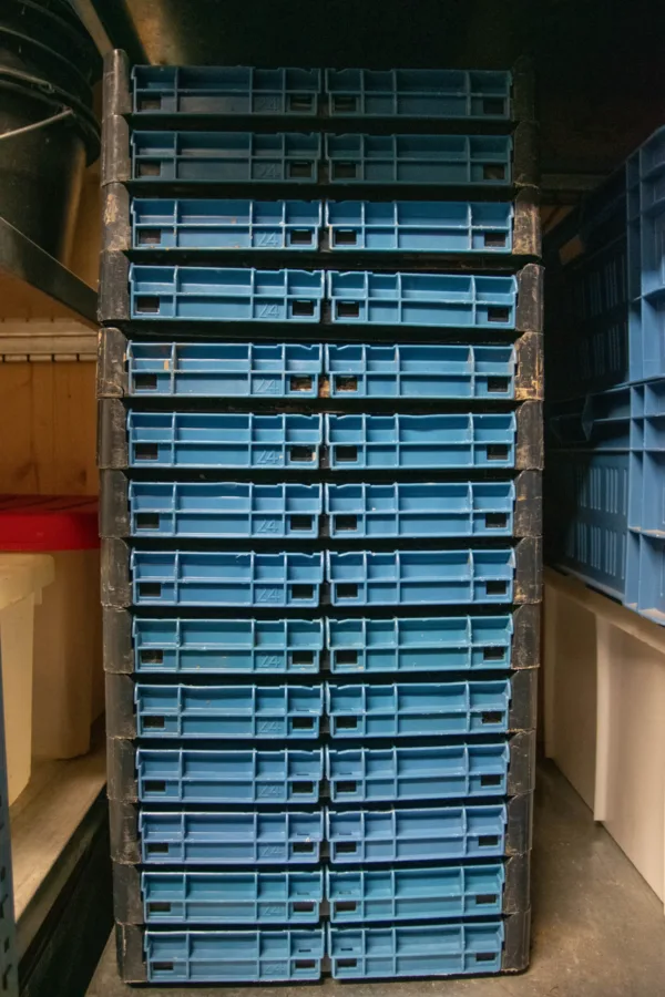 Transportkasten faltbar (60x40x25cm)