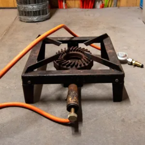 20240112-DSC_1613 Gasspinnen gross